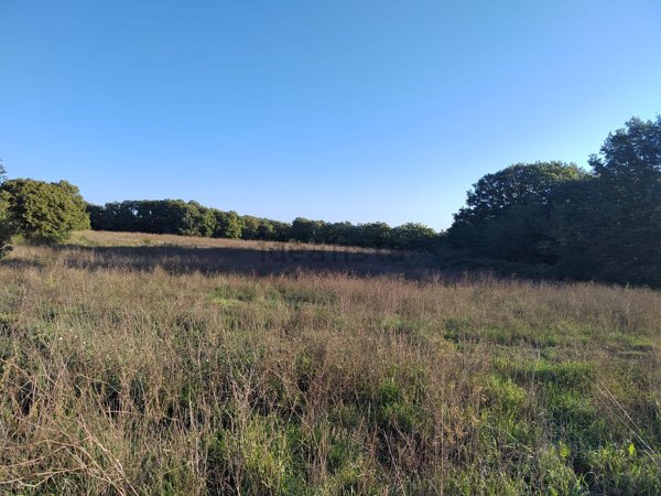 terreno agricolo in vendita a Trevignano Romano