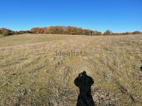 terreno agricolo in vendita a Trevignano Romano