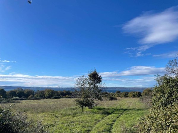 terreno agricolo in vendita a Trevignano Romano