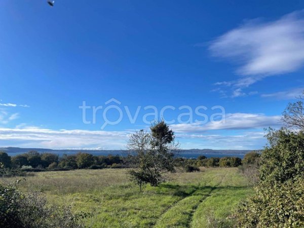 terreno agricolo in vendita a Trevignano Romano