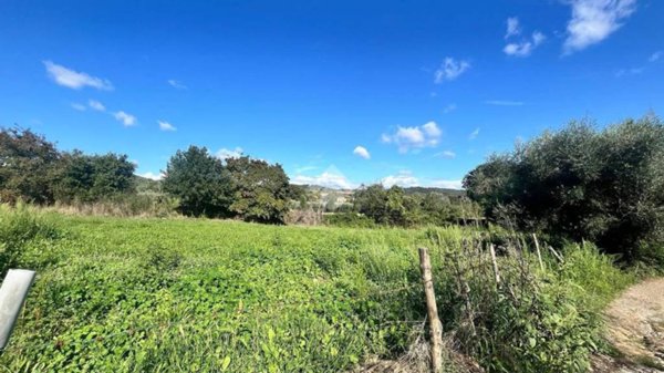 terreno agricolo in vendita a Trevignano Romano