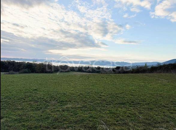 terreno agricolo in vendita a Trevignano Romano