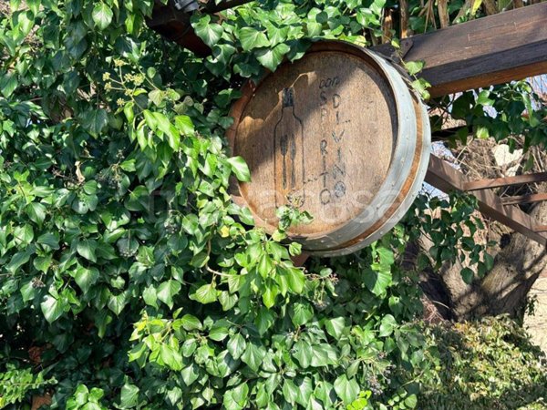 negozio in vendita a Trevignano Romano