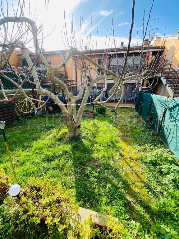 appartamento in vendita a Trevignano Romano