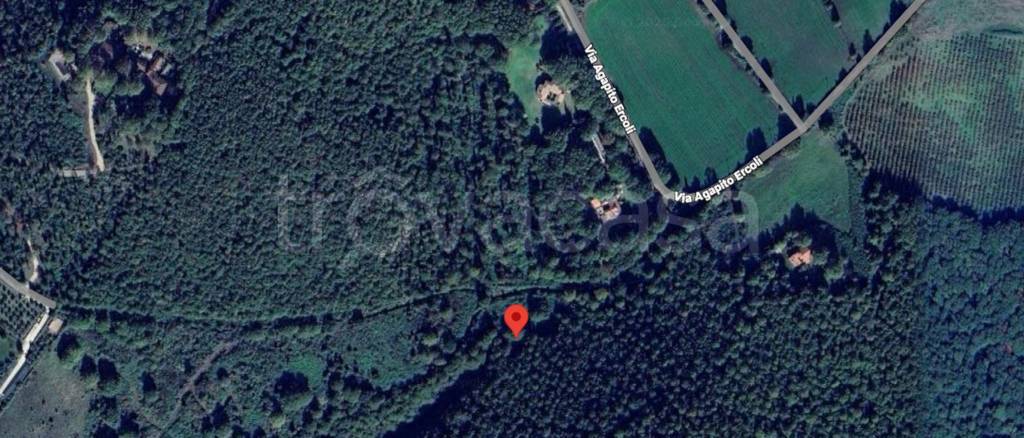 terreno edificabile in vendita a Trevignano Romano