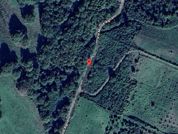 terreno agricolo in vendita a Trevignano Romano