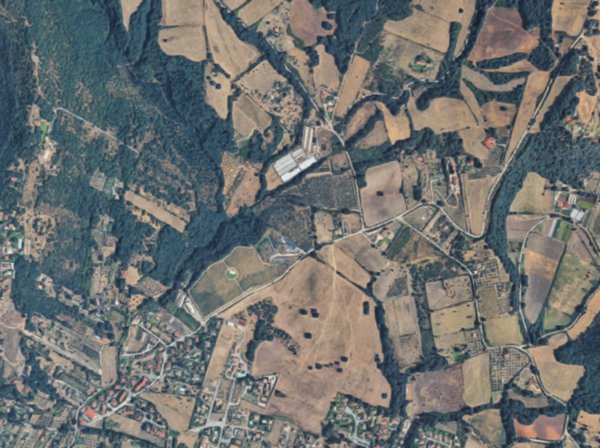 terreno agricolo in vendita a Trevignano Romano