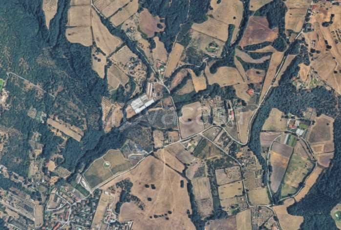 appartamento in vendita a Trevignano Romano