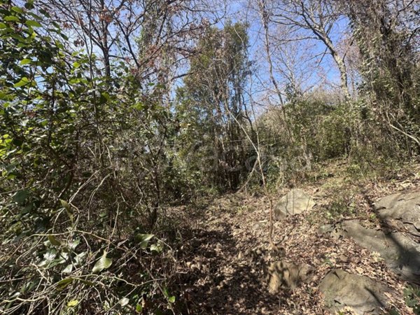 terreno agricolo in vendita a Trevignano Romano