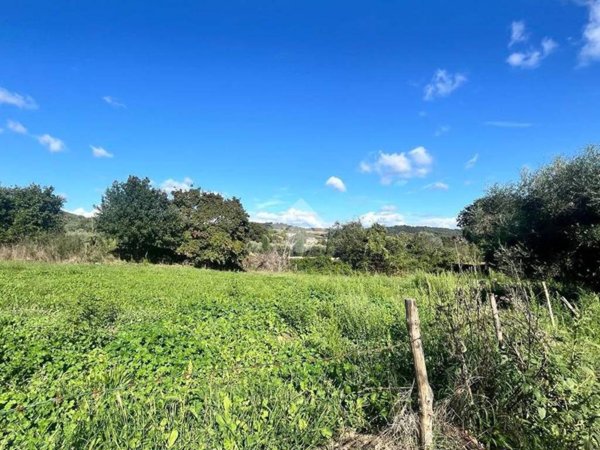 terreno agricolo in vendita a Trevignano Romano