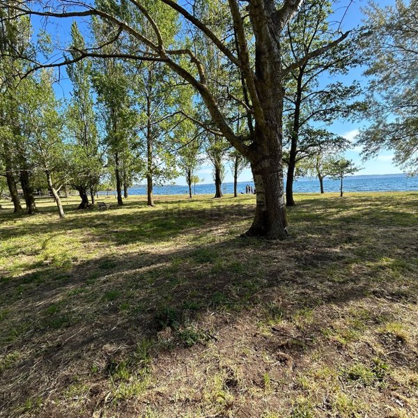 casa indipendente in vendita a Trevignano Romano