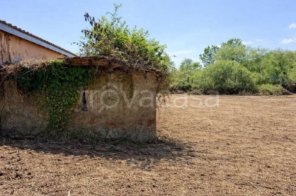 terreno agricolo in vendita a Trevignano Romano