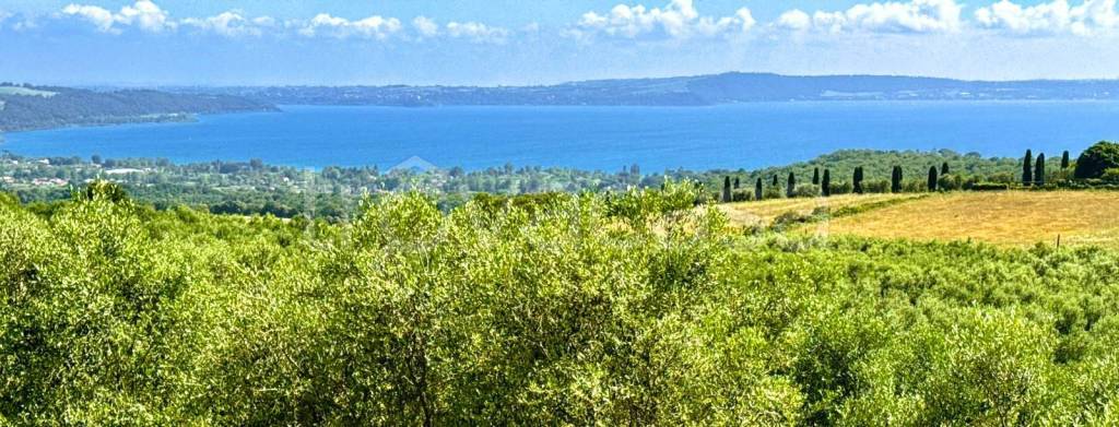 appartamento in vendita a Trevignano Romano