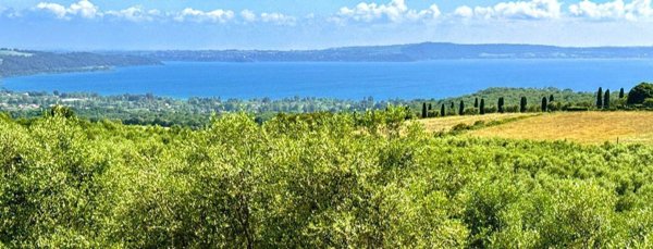 appartamento in vendita a Trevignano Romano