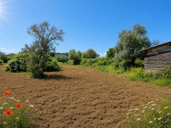 casa indipendente in vendita a Trevignano Romano