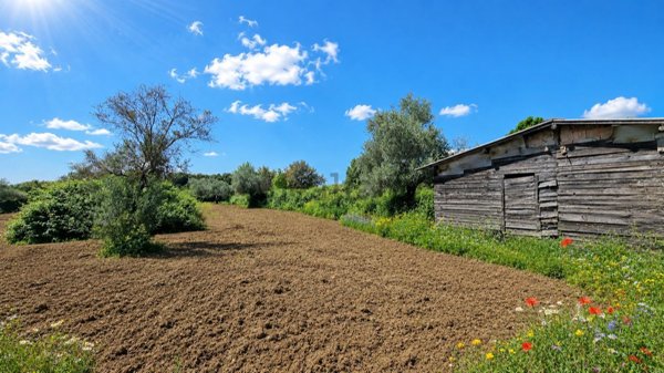 appartamento in vendita a Trevignano Romano