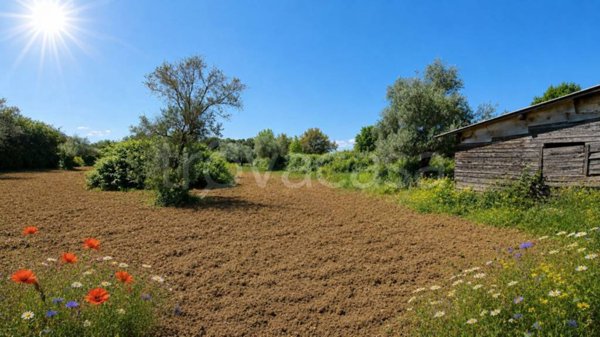 appartamento in vendita a Trevignano Romano