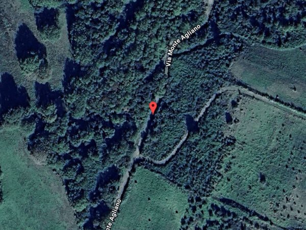 terreno agricolo in vendita a Trevignano Romano