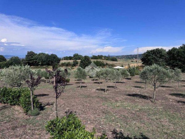 terreno agricolo in vendita a Trevignano Romano