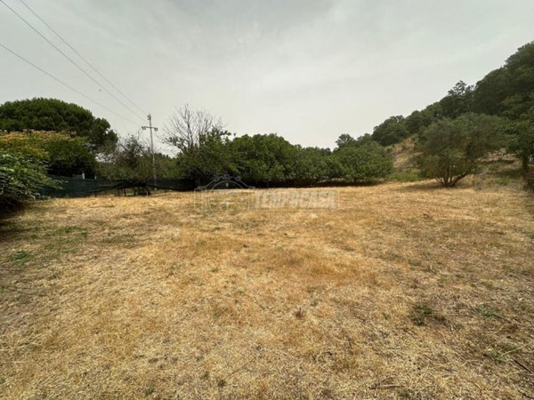 terreno in vendita a Trevignano Romano