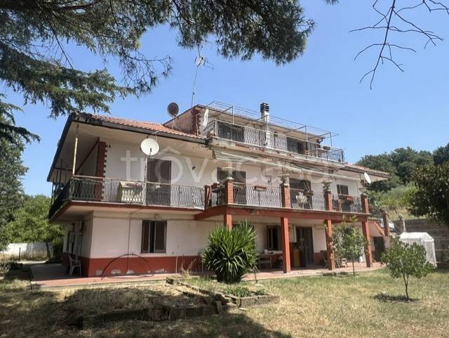 appartamento in vendita a Trevignano Romano
