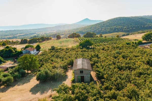 locale di sgombero in vendita a Trevignano Romano