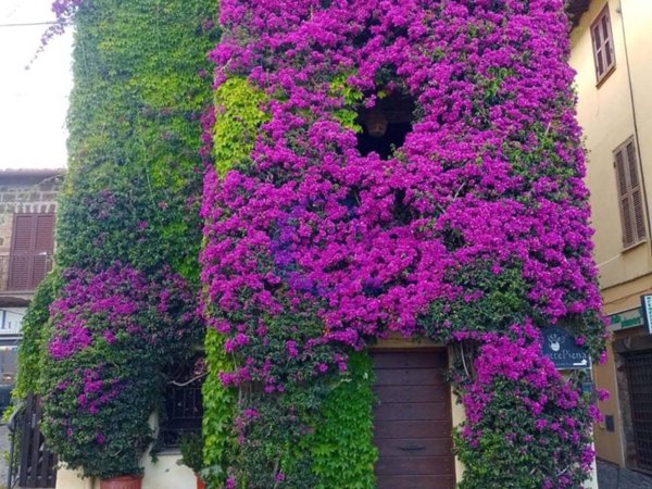 casa indipendente in vendita a Trevignano Romano