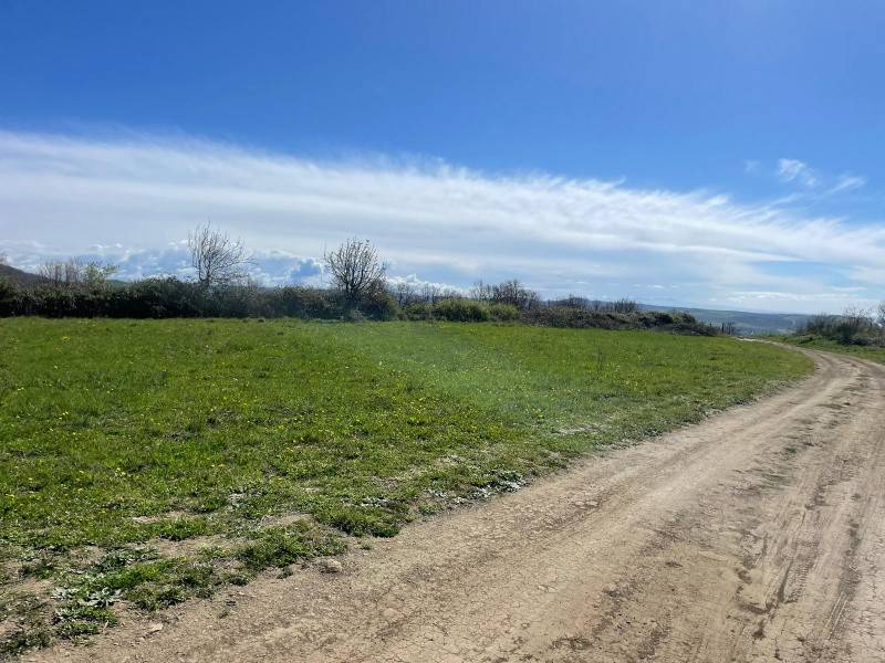 terreno in vendita a Trevignano Romano
