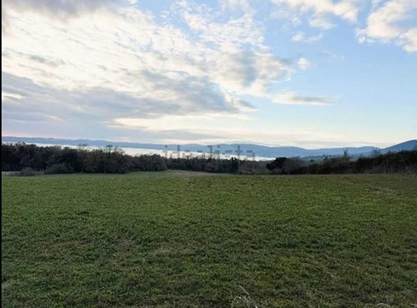 terreno in vendita a Trevignano Romano
