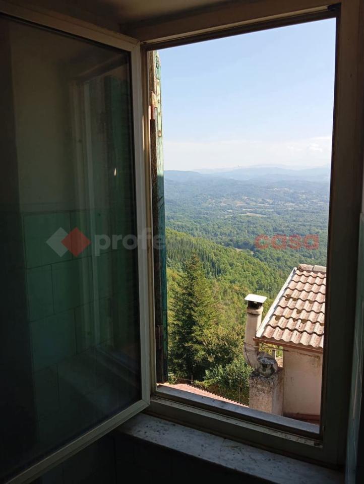 appartamento in vendita a Vallinfreda