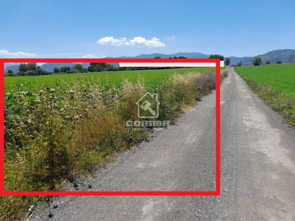 terreno agricolo in vendita a Valmontone