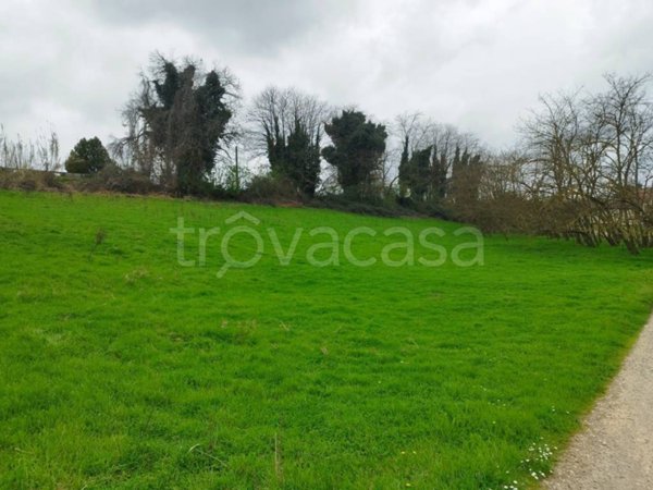 terreno agricolo in vendita a Valmontone