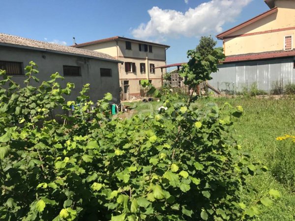 terreno agricolo in vendita a Valmontone