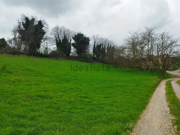 terreno agricolo in vendita a Valmontone