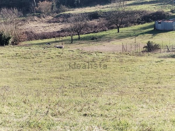 terreno agricolo in vendita a Valmontone