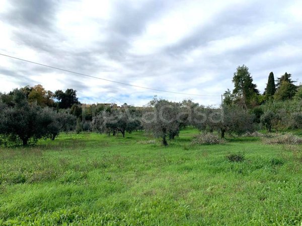 terreno agricolo in vendita a Velletri