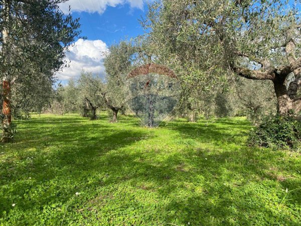 terreno agricolo in vendita a Velletri