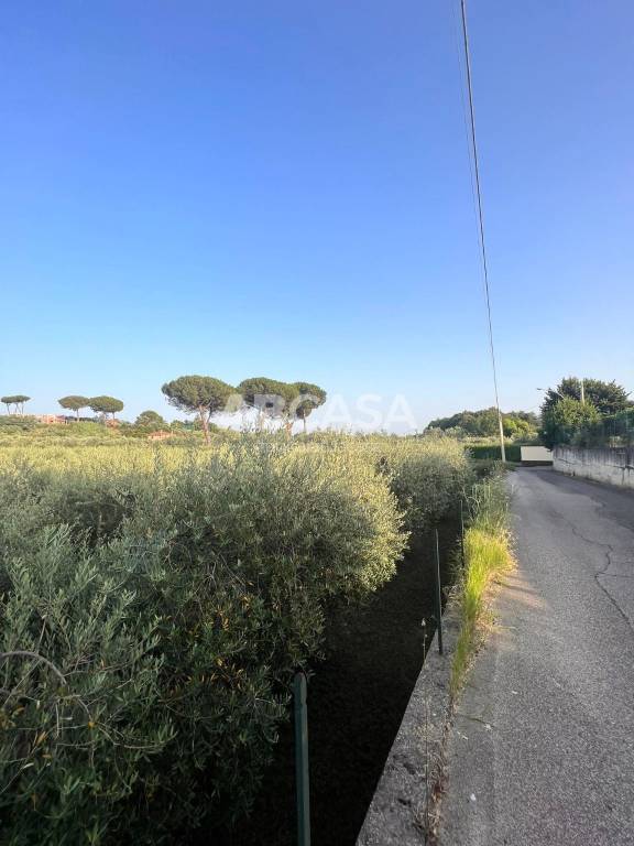 terreno agricolo in vendita a Velletri