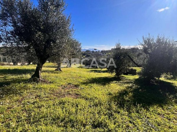 terreno agricolo in vendita a Velletri