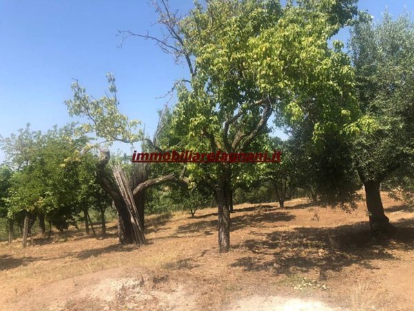 terreno agricolo in vendita a Velletri