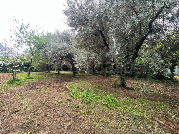 terreno edificabile in vendita a Velletri