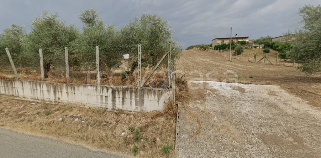 terreno agricolo in vendita a Velletri