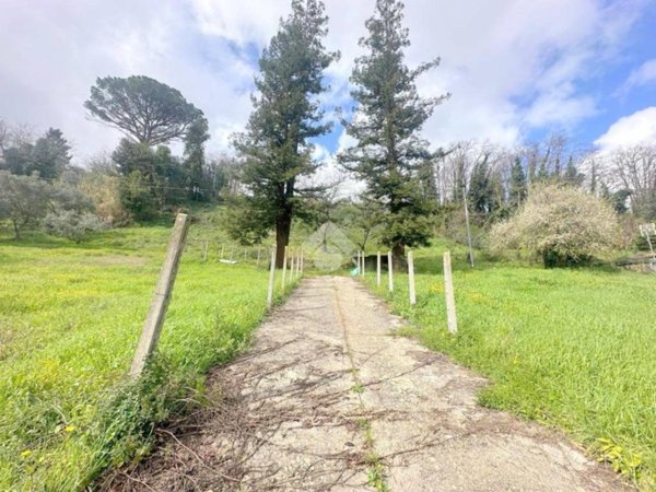 locale di sgombero in vendita a Velletri