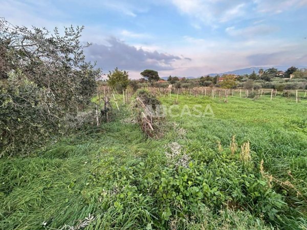 terreno agricolo in vendita a Velletri