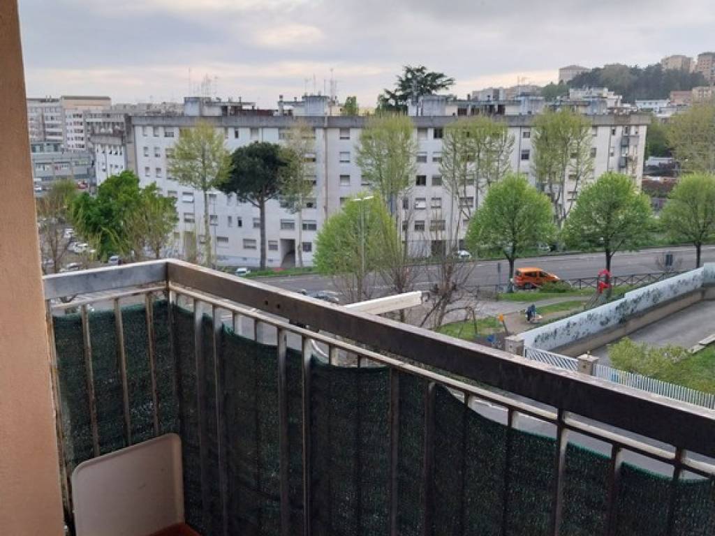 appartamento in vendita a Velletri