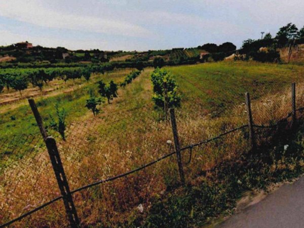terreno agricolo in vendita a Velletri