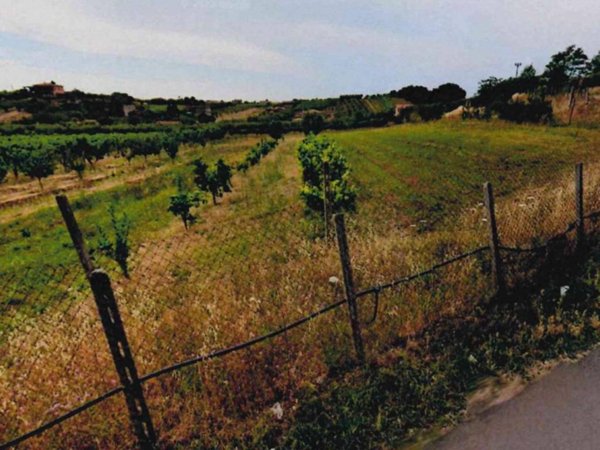 terreno agricolo in vendita a Velletri