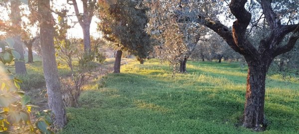 casa indipendente in vendita a Velletri