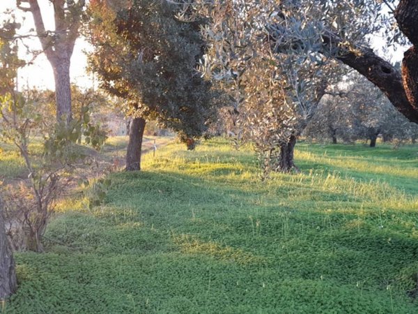 casa indipendente in vendita a Velletri