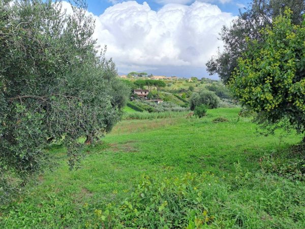 terreno agricolo in vendita a Velletri